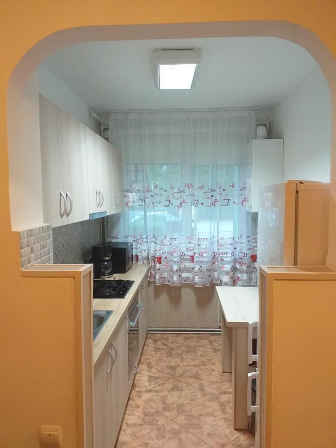 Muntean Residence Сібіу Екстер'єр фото